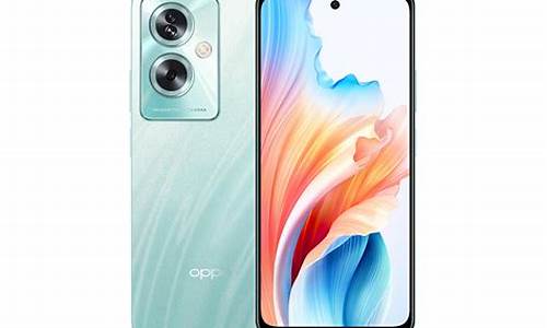 oppoa100手机像素图_oppoa11手机像素